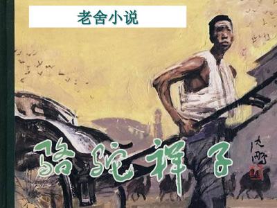 桃红世界官方进站